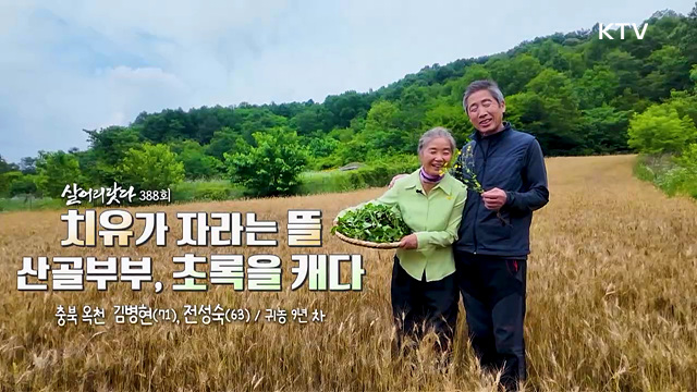 치유가 자라는 뜰 산골부부, 초록을 캐다