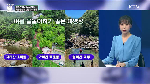 성수기에도 빈자리 있다···국립공원 야영장 예약 꿀팁