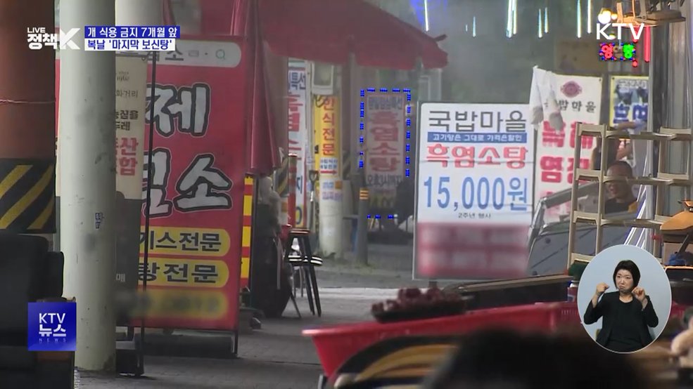 개 식용 금지 7개월 앞···모란시장 '마지막 보신탕'