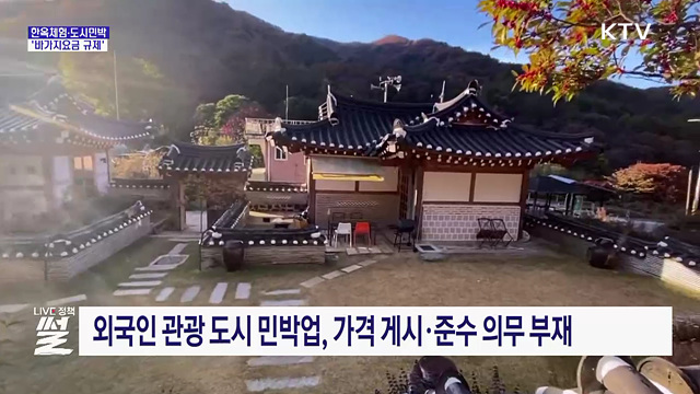 도시민박도 바가지요금 규제··· 첫 적발 시 영업정지