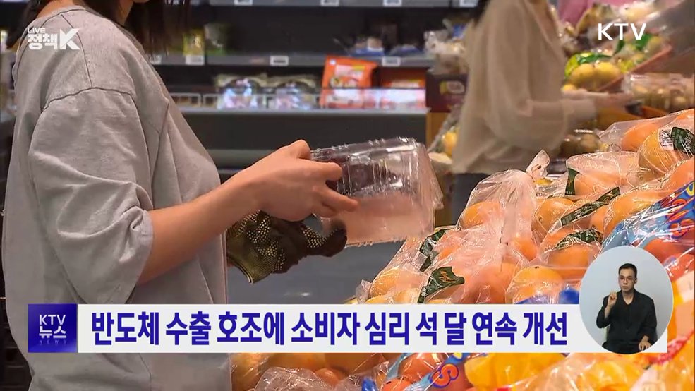 반도체 수출 호조에 소비자 심리 석 달 연속 개선