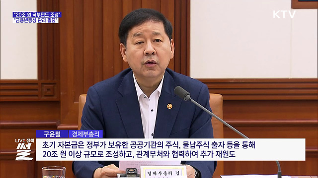 "20조 원 국부펀드 조성···금융변동성 관리 필요"