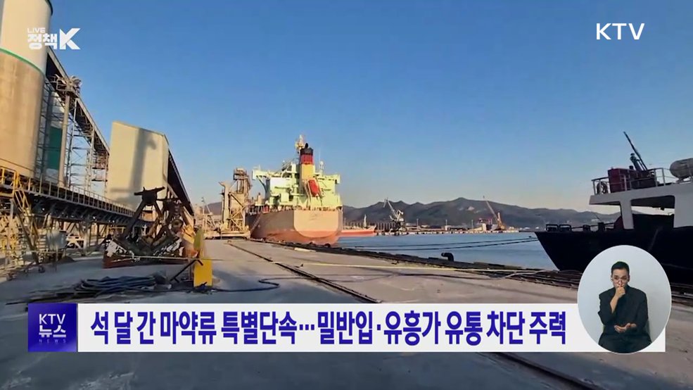 석 달 간 마약류 특별단속···밀반입·유흥가 유통 차단 주력