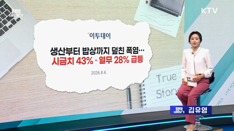 농식품부 "폭염에 따른 채소값 상승? 수급 정상적"