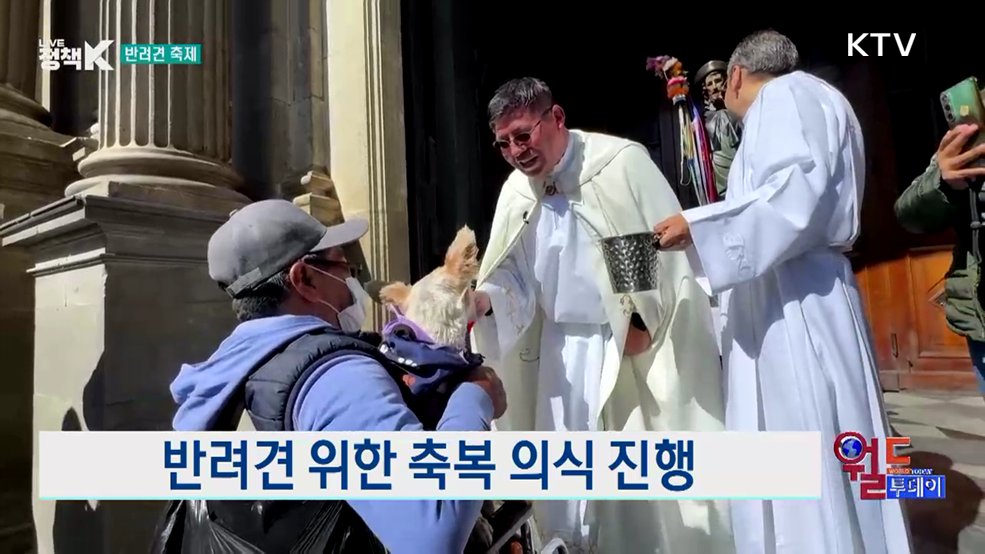 볼리비아, 반려견 축제 개최 [월드 투데이]