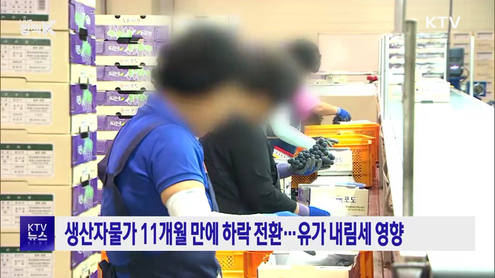 생산자물가 11개월 만에 하락 전환···유가 내림세 영향