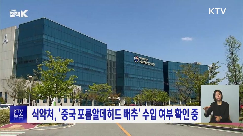 식약처, '중국 포름알데히드 배추' 수입 여부 확인 중