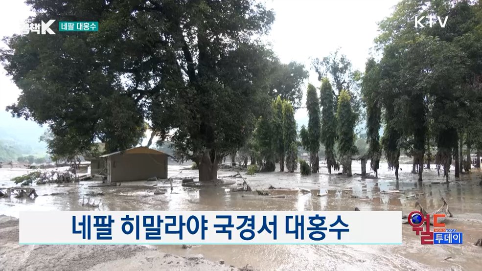 브라질 하모니카 공장, 100년 넘은 전통 [월드 투데이]