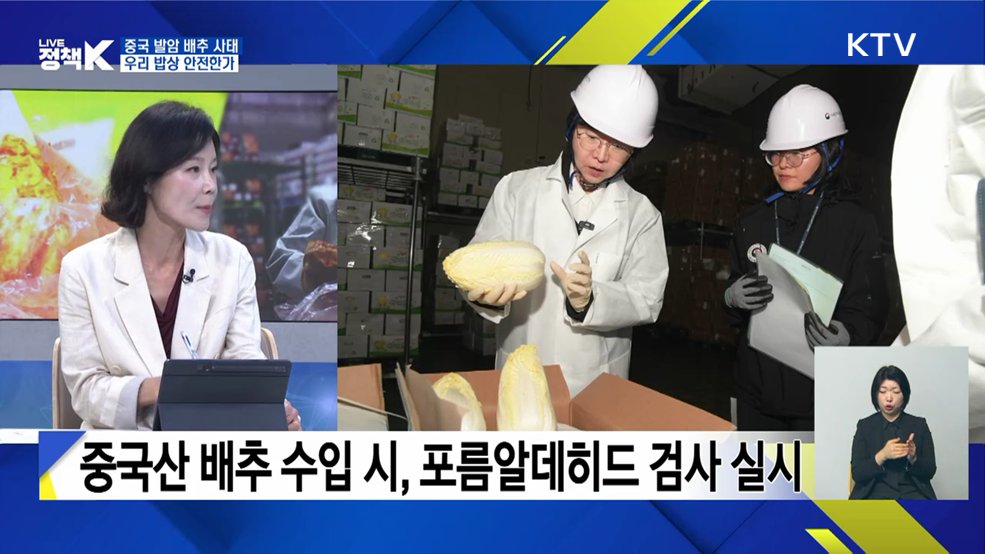 중국 발암 배추 사태···우리 밥상 안전한가 [정책+]