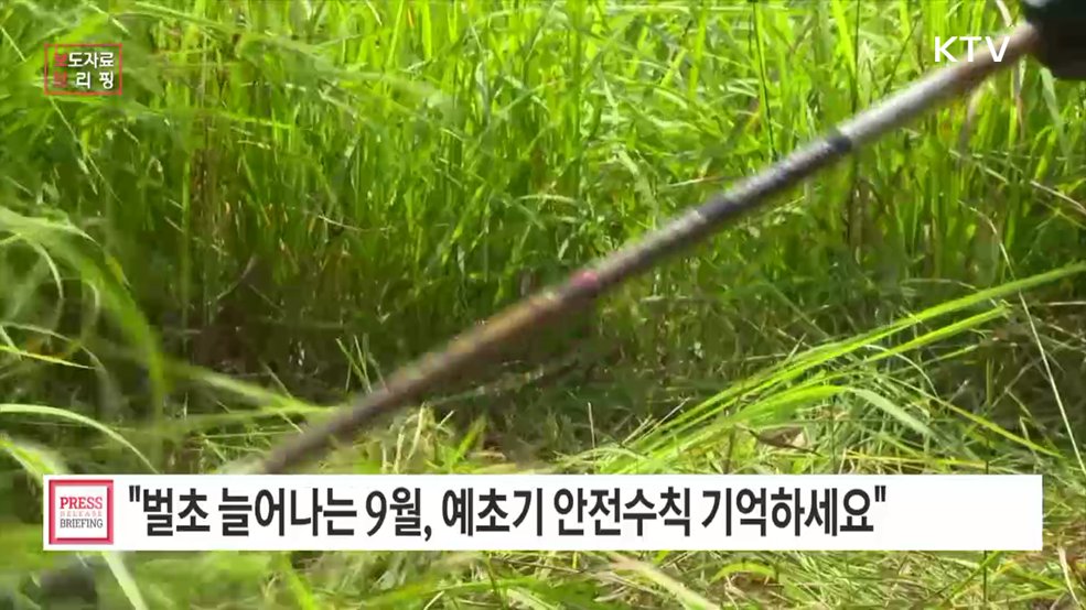 벌초·풀베기 작업 전, 예초기 안전 사용 수칙 꼭 알아두세요!