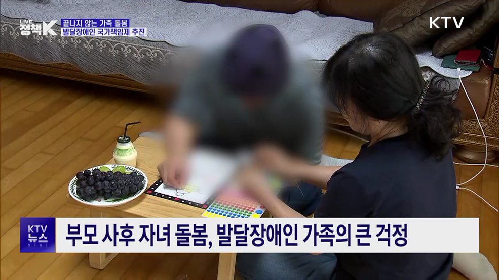 발달장애인 돌봄, 국가책임제 추진