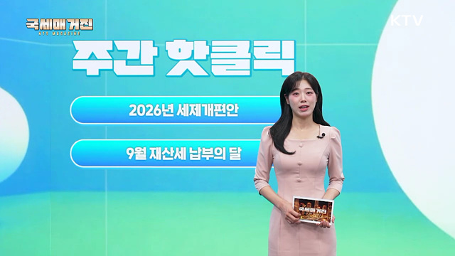 2026년 세제개편안 주요 세제 혜택