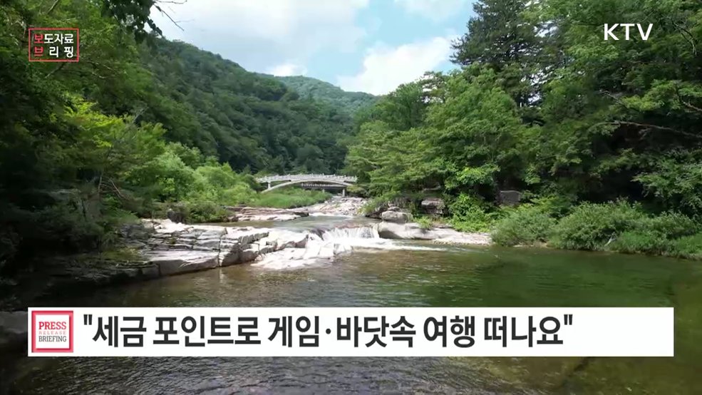 세금포인트로 떠나는 게임과 바다 속 여행