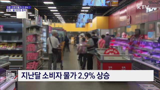 9월 물가 2.9%↑···정부, 금융·물가 안정 대응