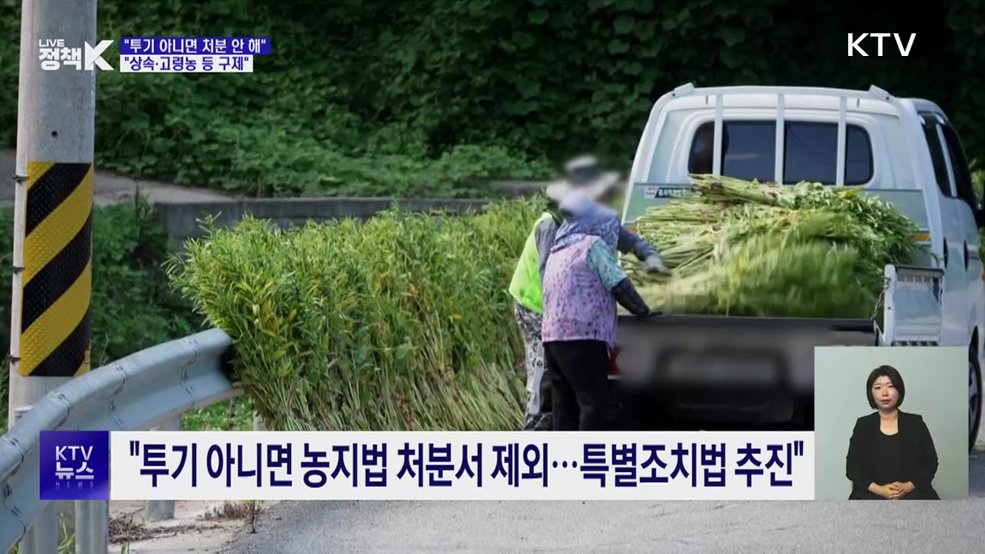 "투기 아니면 처분 안 해···상속·고령농 등 구제"