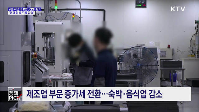 지난달 취업자 11만3천명 증가···"경기 회복 흐름 지속"