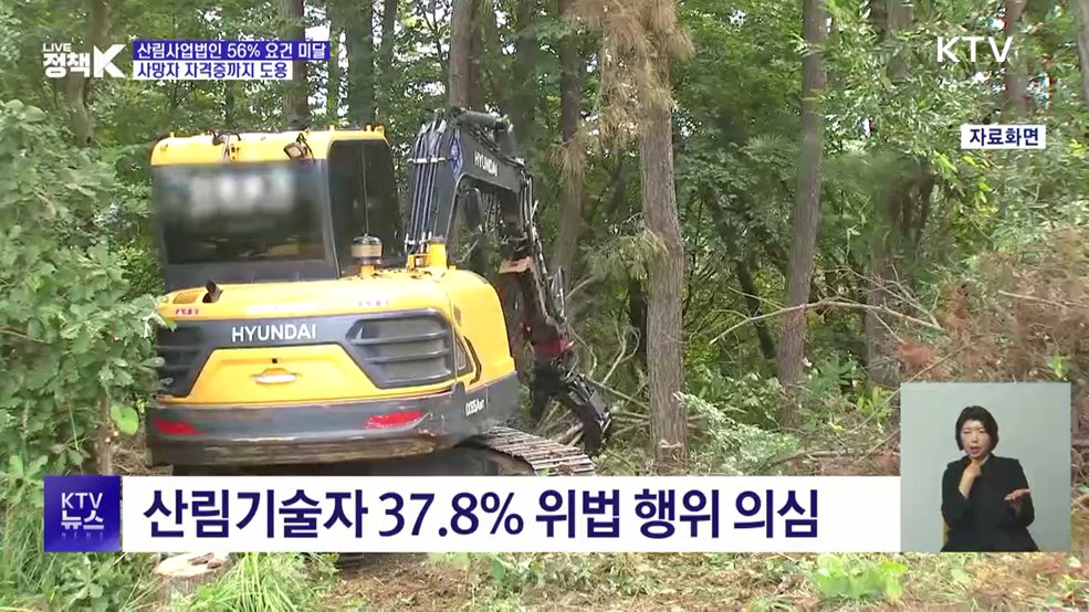 산림사업법인 56% 요건 미달···사망자 자격증까지 도용