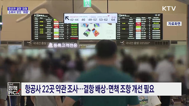 항공편 결항·오버부킹 피해···소비자 보호 '미흡'
