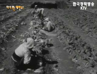 내고장 농촌 소식(`63) 이미지