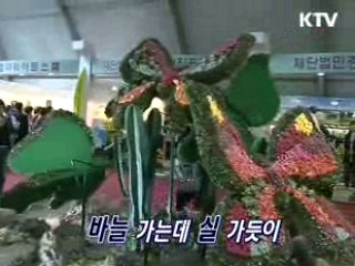 지금 대한민국