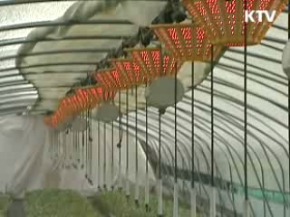 신성장동력기업 1천800억원 보증지원