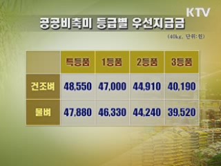 공공비축쌀 4만7천원…작년 수준 유지