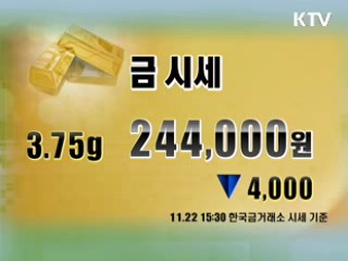 증시정리 환율 금시세