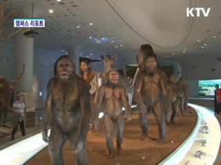 '구석기시대'로 여행 떠나요