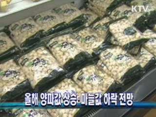 올해 양파값 상승·마늘값 하락 전망