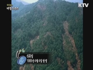 다시보는 대한늬우스 (89.04.04) 이미지