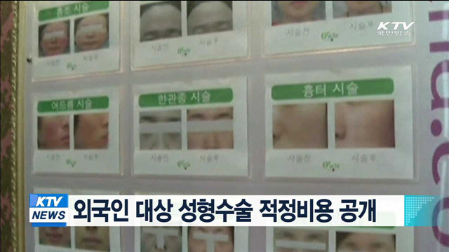 외국인 대상 성형수술 적정비용 공개