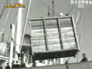 미국에서 젖소 도입, 부산항(`61) 이미지