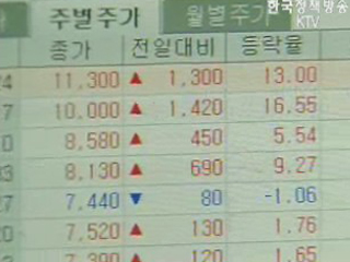 주식시장 사상 최고치 돌파