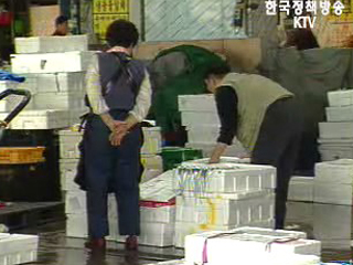 여성어업인 육성 본격 추진