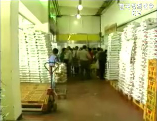 올해 쌀 생산량 3천 311만석, 4.6% 감소