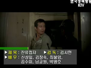 플러스 덤