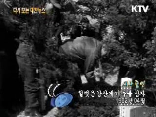 헐벗은 강산에 나무를 심자(62') 이미지