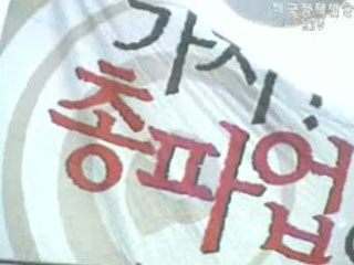 엄정 대처