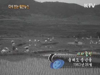 올해도 풍년을(63') 이미지