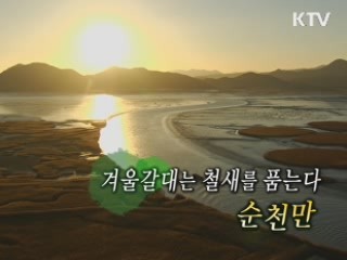 겨울갈대는 철새를 품는다 - 순천만