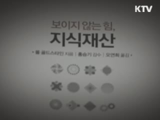 보이지 않는 힘, 지식재산 [오늘의 책]