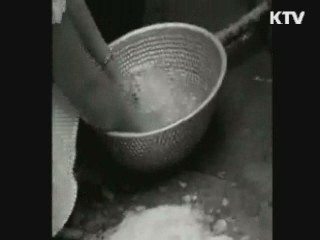 50~60년대 뇌염·콜레라 예방은?