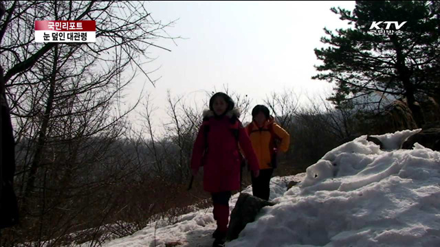 눈 덮인 대관령…등산객 북적 [국민리포트]