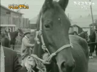 이대부속병원 낙성식(`58) 이미지