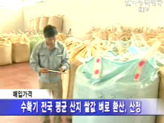 정부, 포대벼 250만석 수매시작
