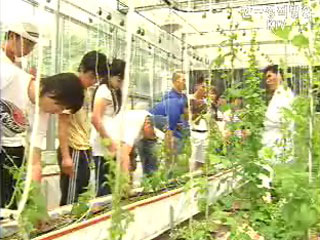 SBS FTA 보도 관련 농림부 입장