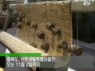 플러스 덤