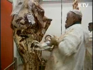 "美 쇠고기 수출작업장 이상 없어"