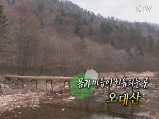 몸과 마음이 치유되는 곳 - 오대산