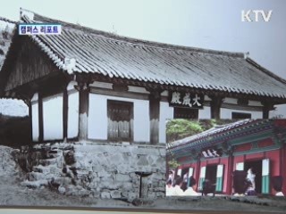 사진으로 본 '안동 문화재 100년'